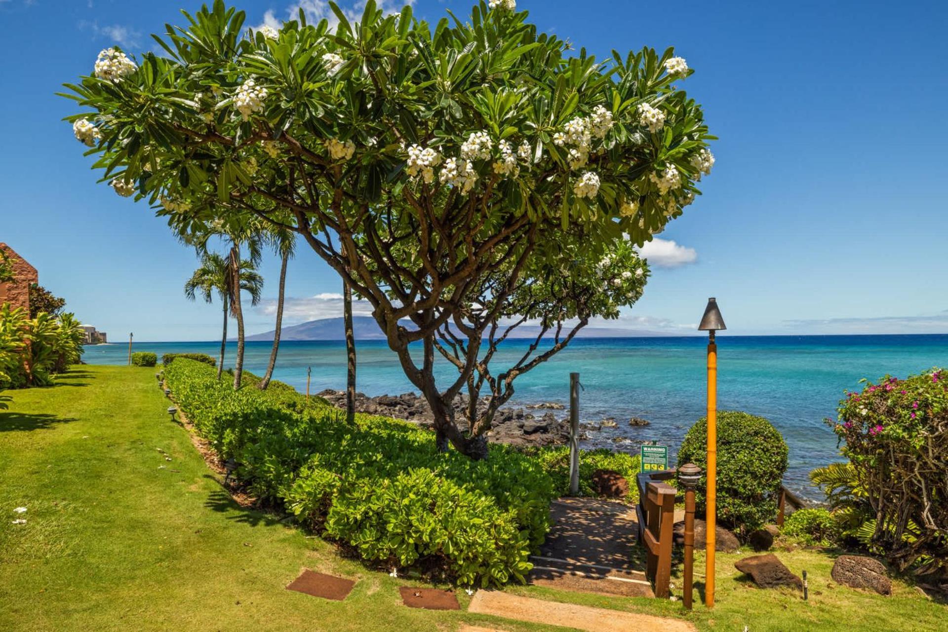 Kuleana Club #611 Oceanfront - 1 Bedroom & 1 Bathroom - Gated 2Nd Fl Kahana Extérieur photo